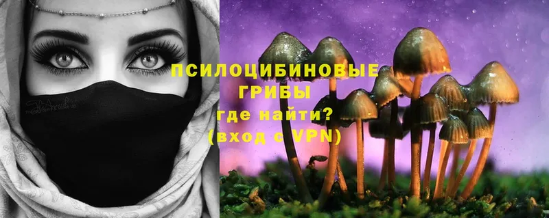 Галлюциногенные грибы MAGIC MUSHROOMS  Омутнинск 